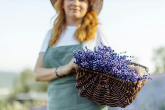 Antidepresszáns illóolajok – aromaterápiás válasz a Kárpát-medencei mentális fáradtságra I.