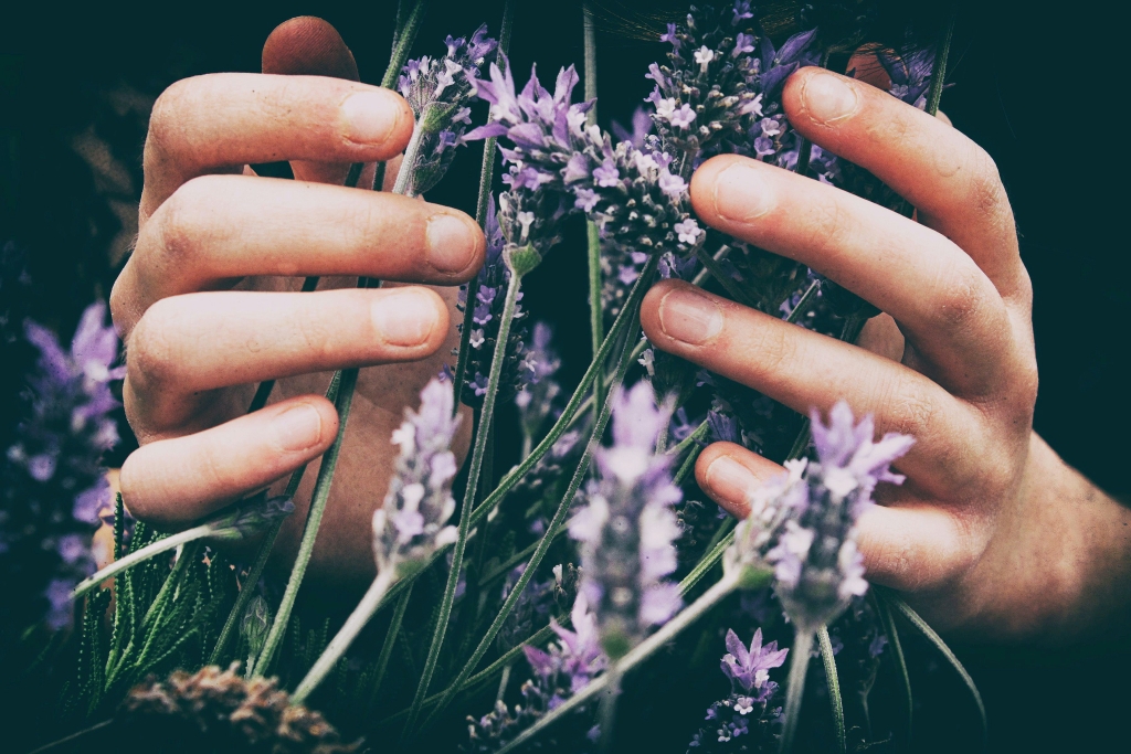 Antidepresszáns illóolajok – aromaterápiás válasz a Kárpát-medencei mentális fáradtságra II.