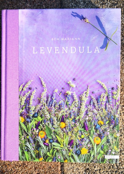 Levendula – a növény, amire most a legnagyobb szükségünk van